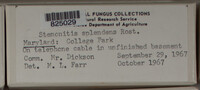 Image Associated With the Occurence